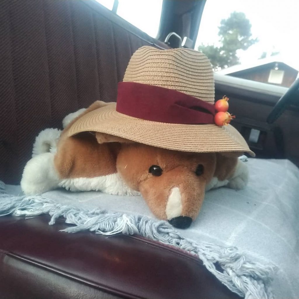 Stuffed dog wearing a sun hat in the passenger seat of a vehicle